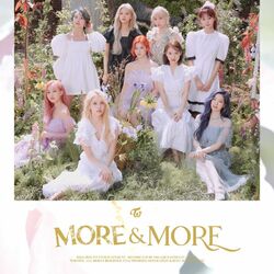 Cover of MORE & MORE (English Version)