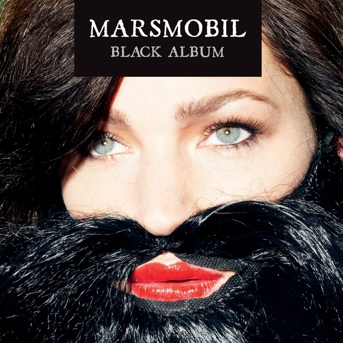 Album cover of Black Album