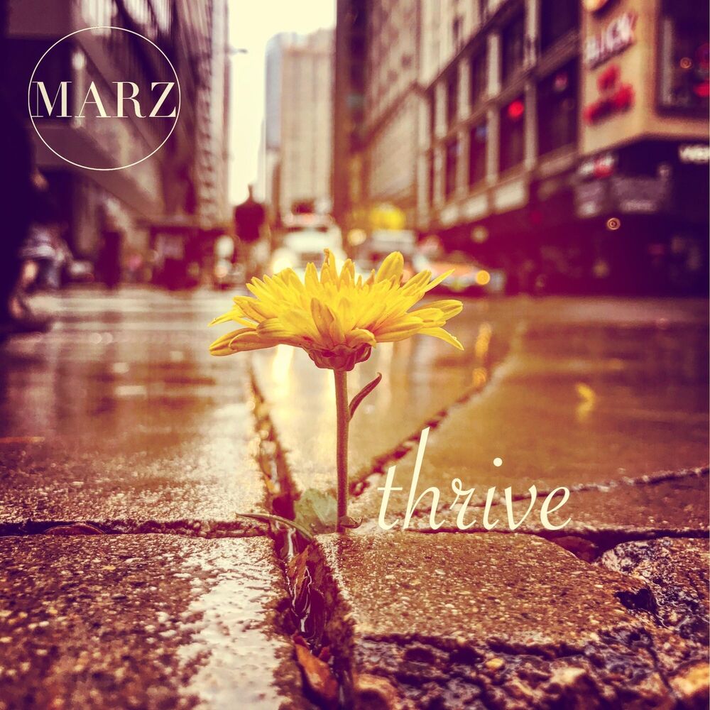 Picture of Thrive