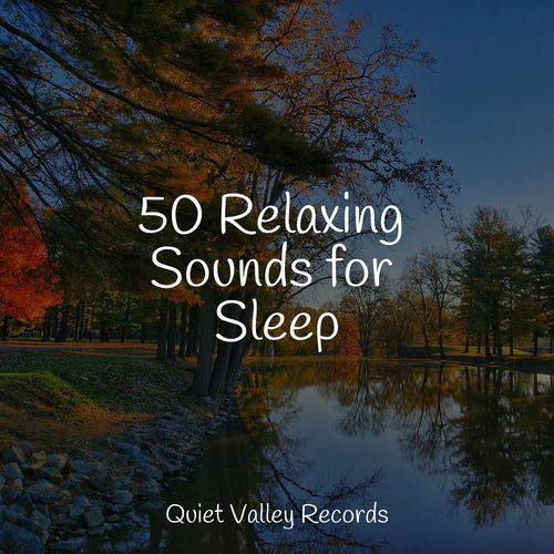 50 Relaxing Sounds for Sleep