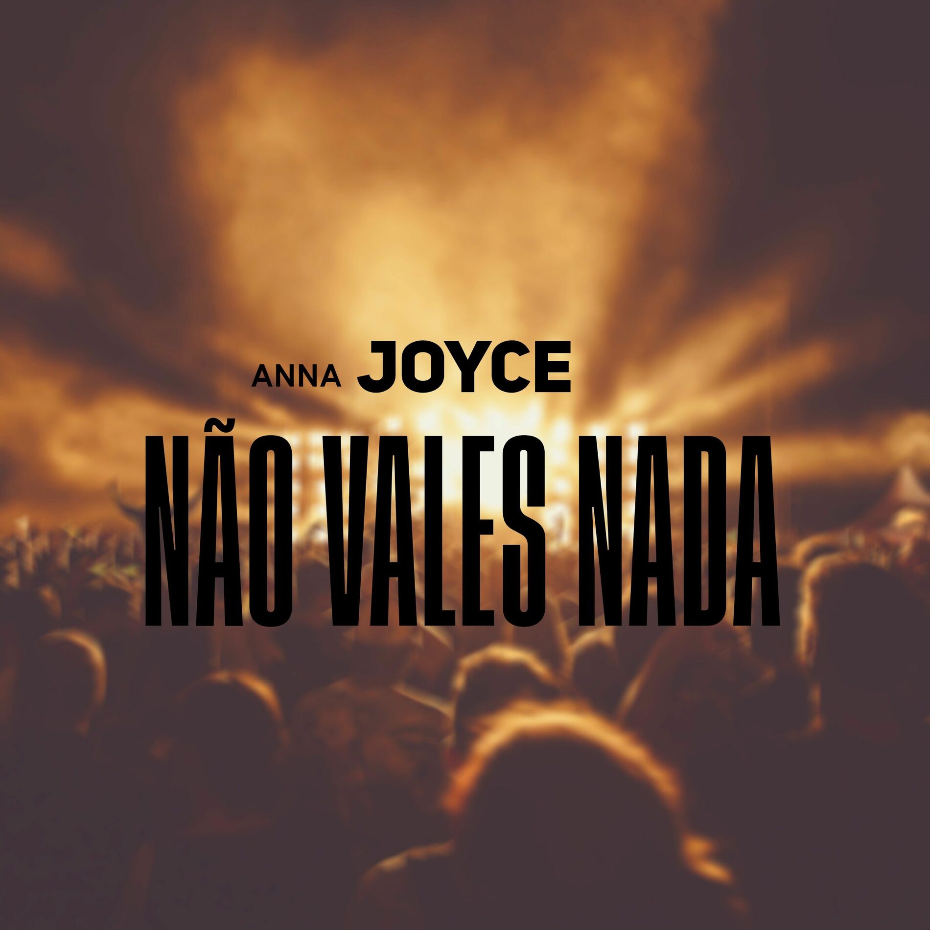 Album cover of Não Vales Nada