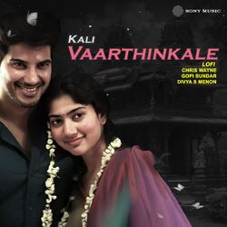 Cover of Vaarthinkale