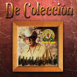 Cover of Volveré A Amar (De Colección)