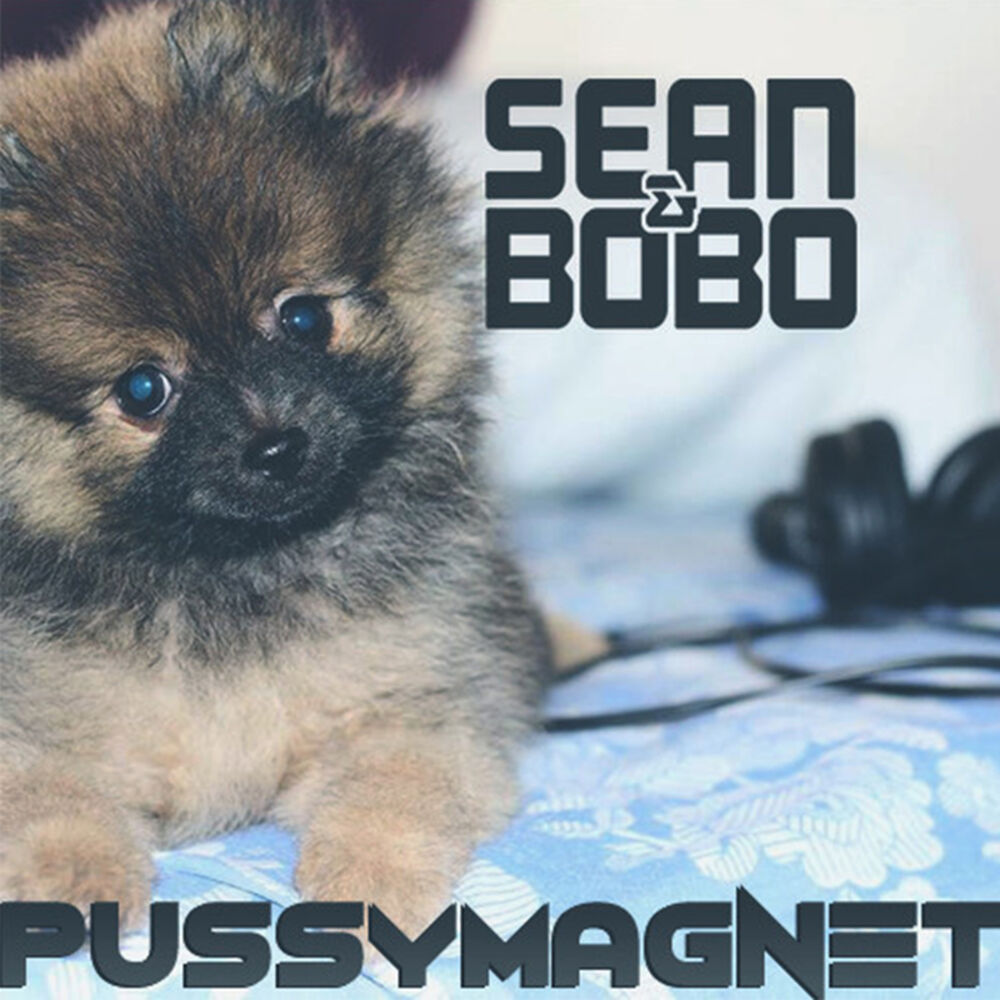Picture of Pussymagnet