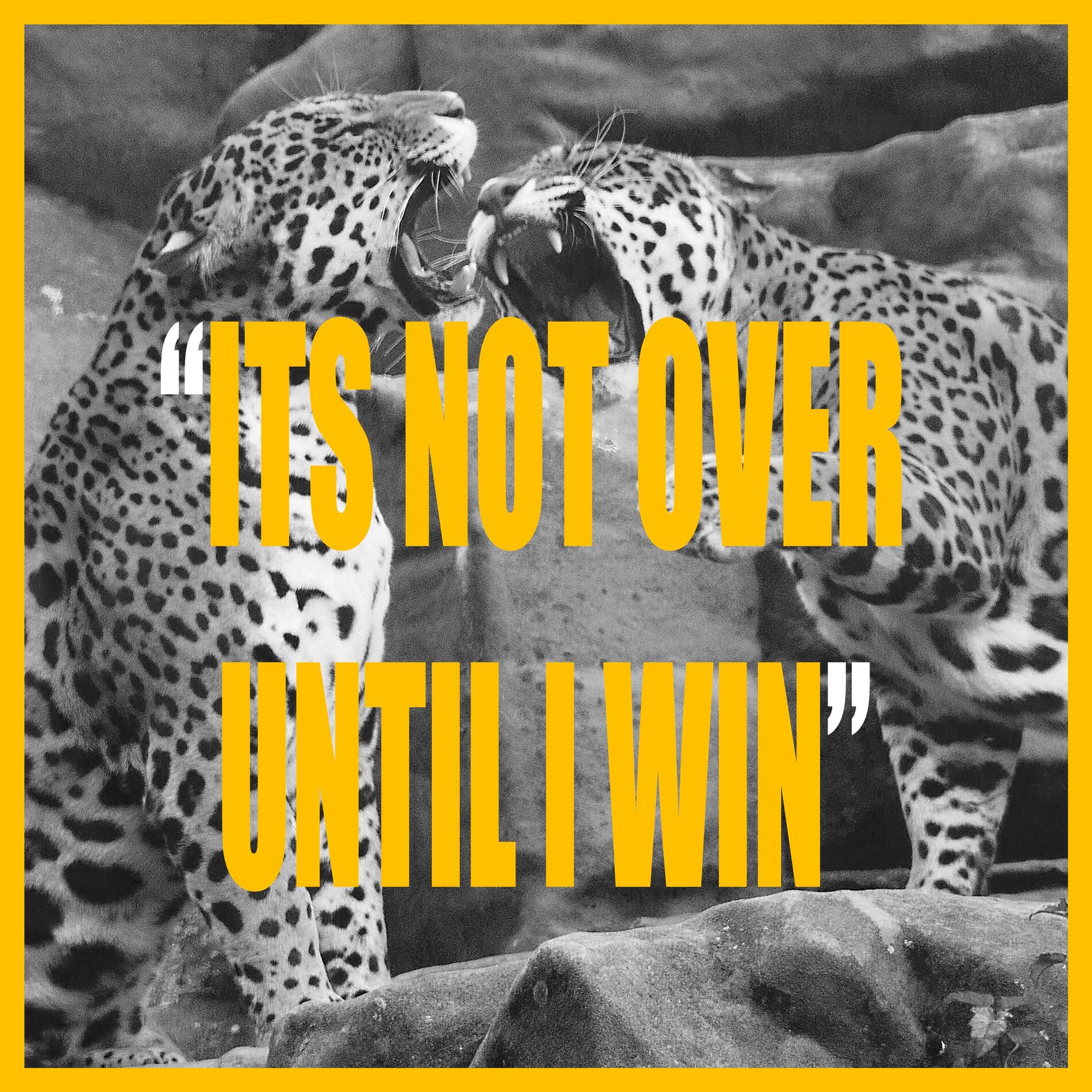 Album cover of ITS NOT OVER UNTIL I WIN