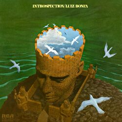 Cover of Introspection