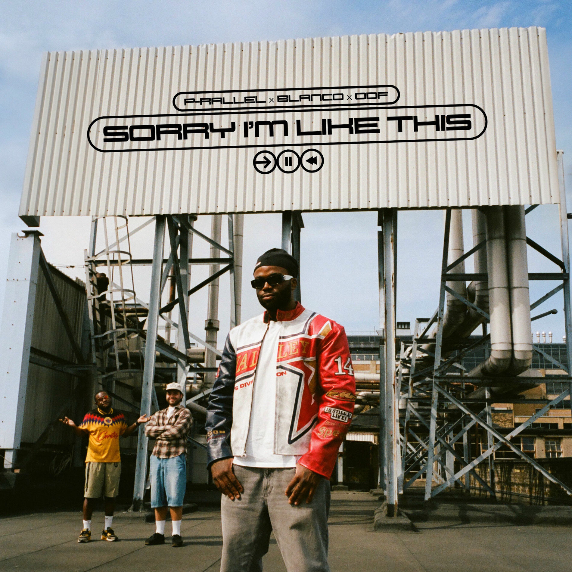 Album cover of Sorry I'm Like This