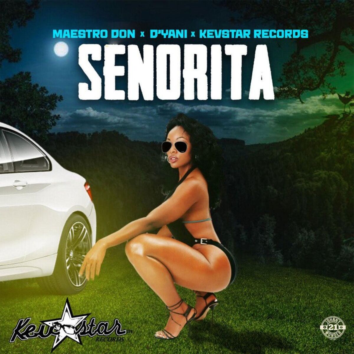 Album cover of Señorita