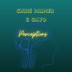 Cover of Perceptions