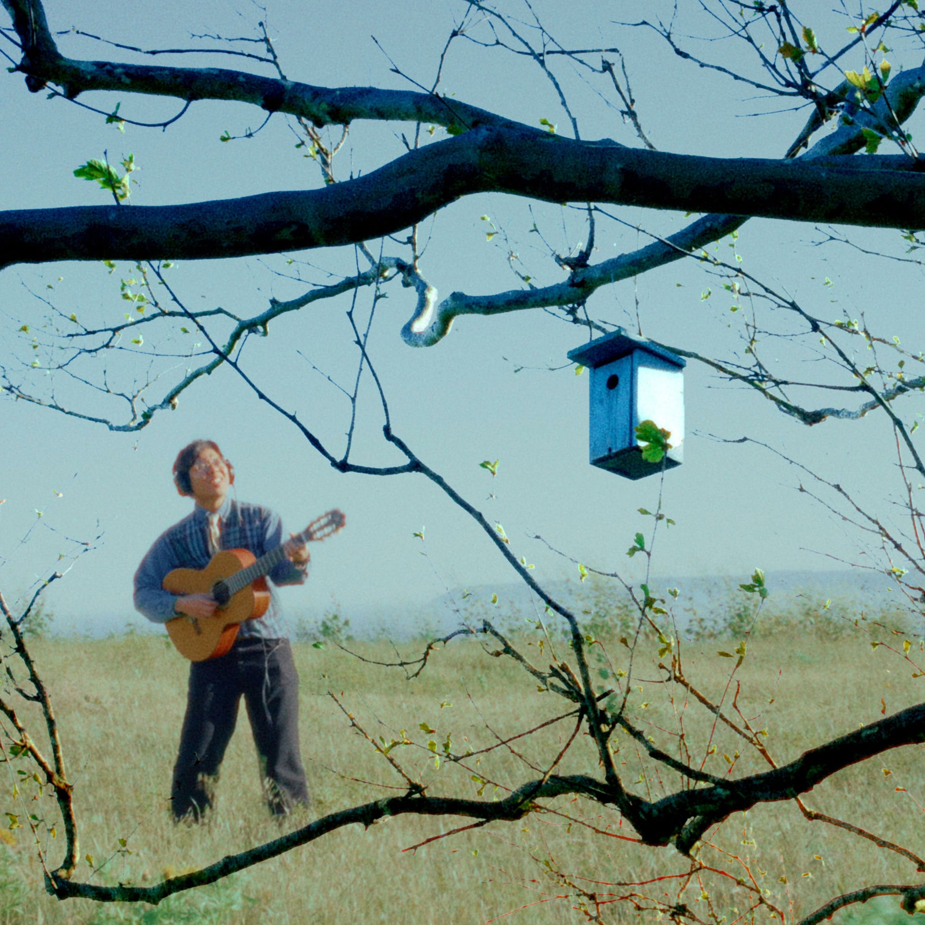 Album cover of Loving Tree