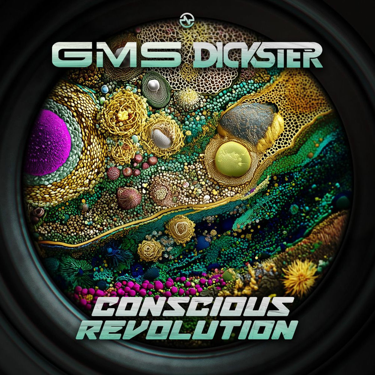 Album cover of Conscious Revolution