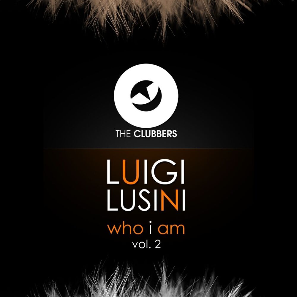 Picture of Who I Am, Vol. 2