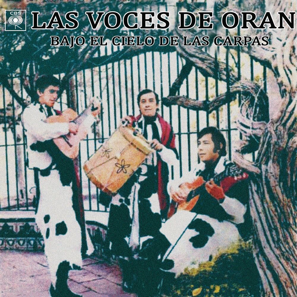 Picture of Bajo el Cielo de las Carpas