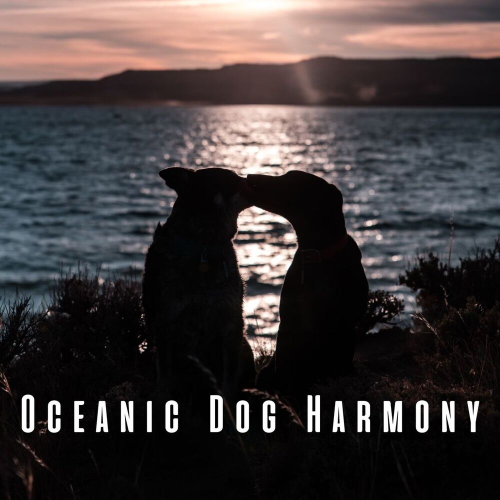 Picture of Oceanic Dog Harmony: Binaural Theta Waves for Total Bliss