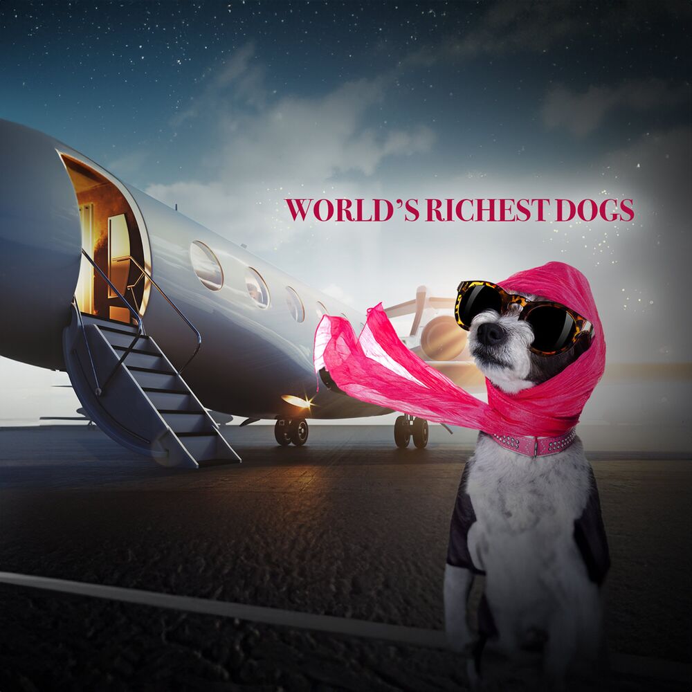 Picture of Worlds Richest Dogs TV Theme (Music from the Original TV Series)