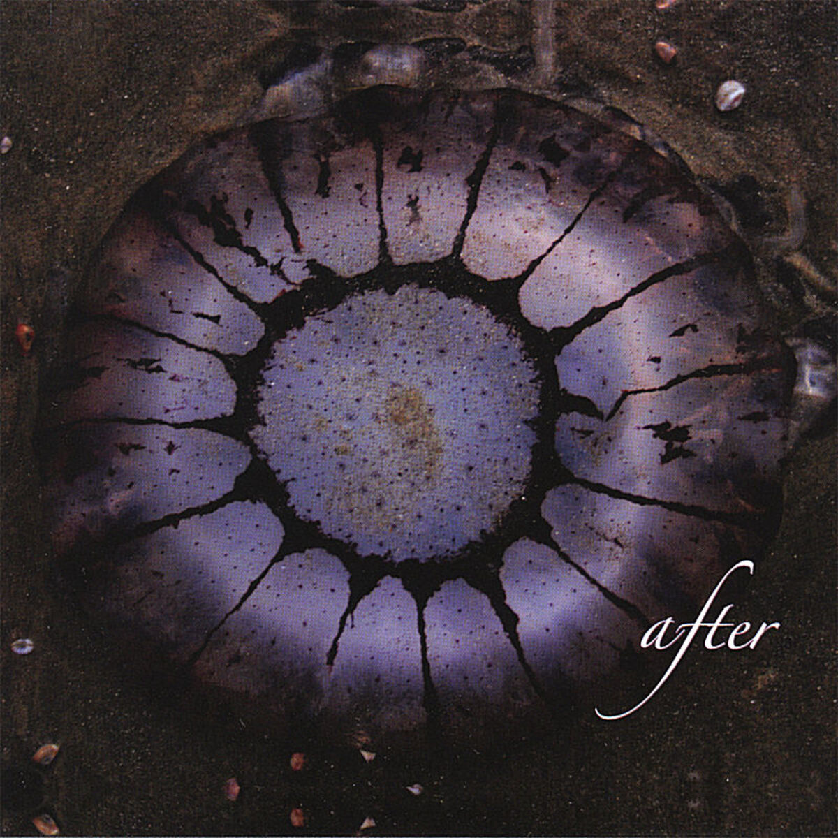 Album cover of After