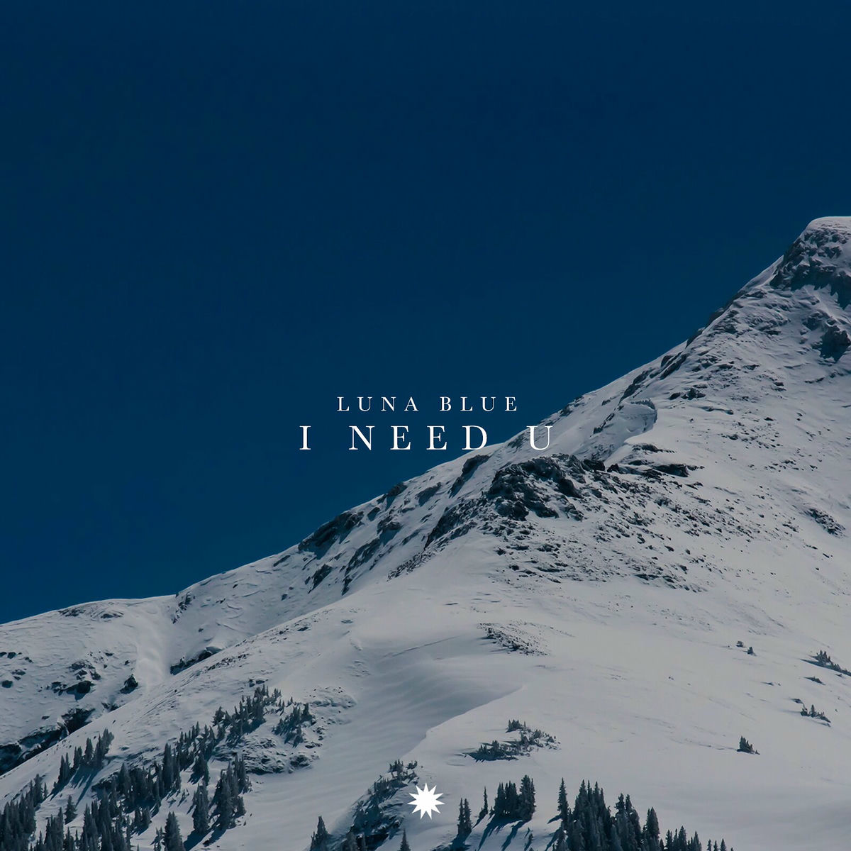 Album cover of I Need U