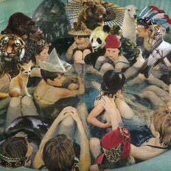 Cover of Person Pitch