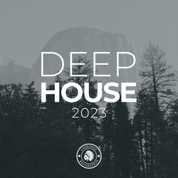 Capa de Brush Fire (Extended Mix)