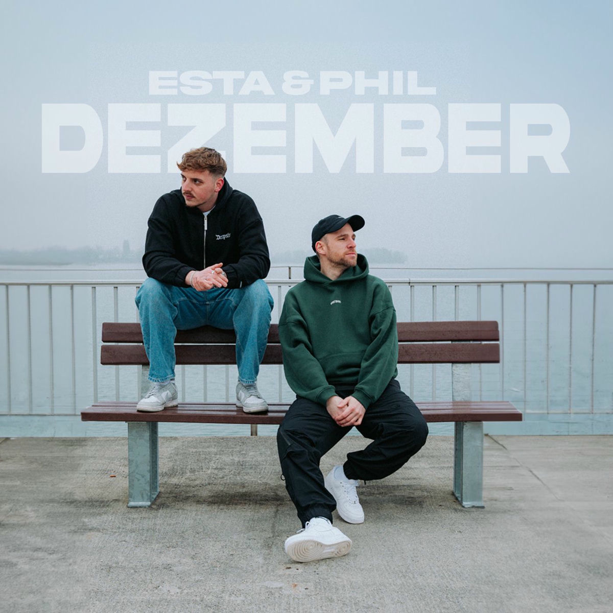 Album cover of Dezember