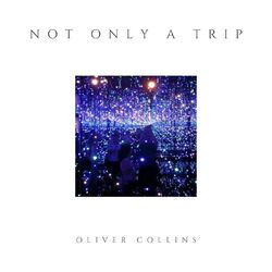 Cover of Not Only a Trip
