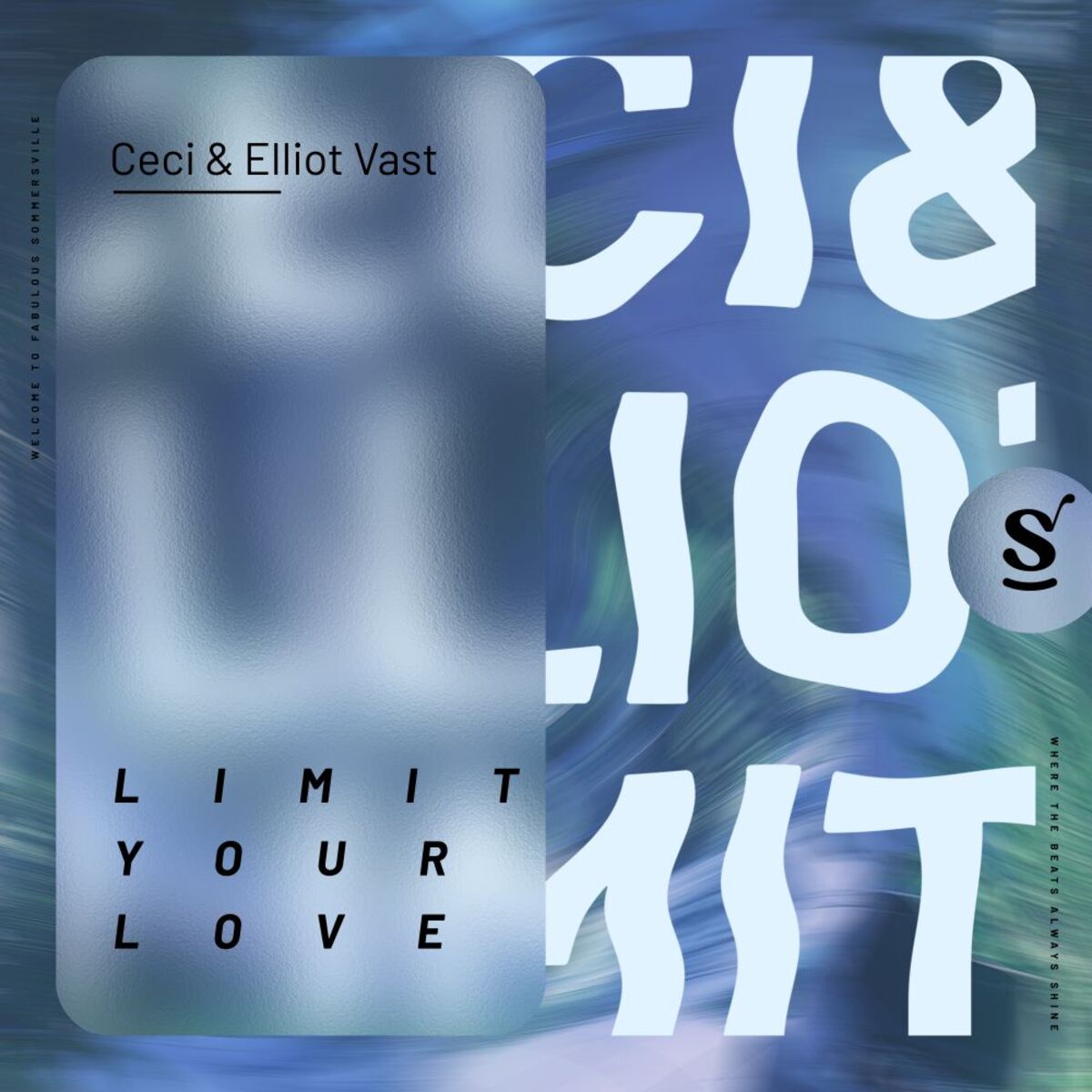 Album cover of Limit Your Love