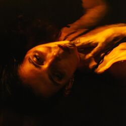 Cover of I Was Here to Stay