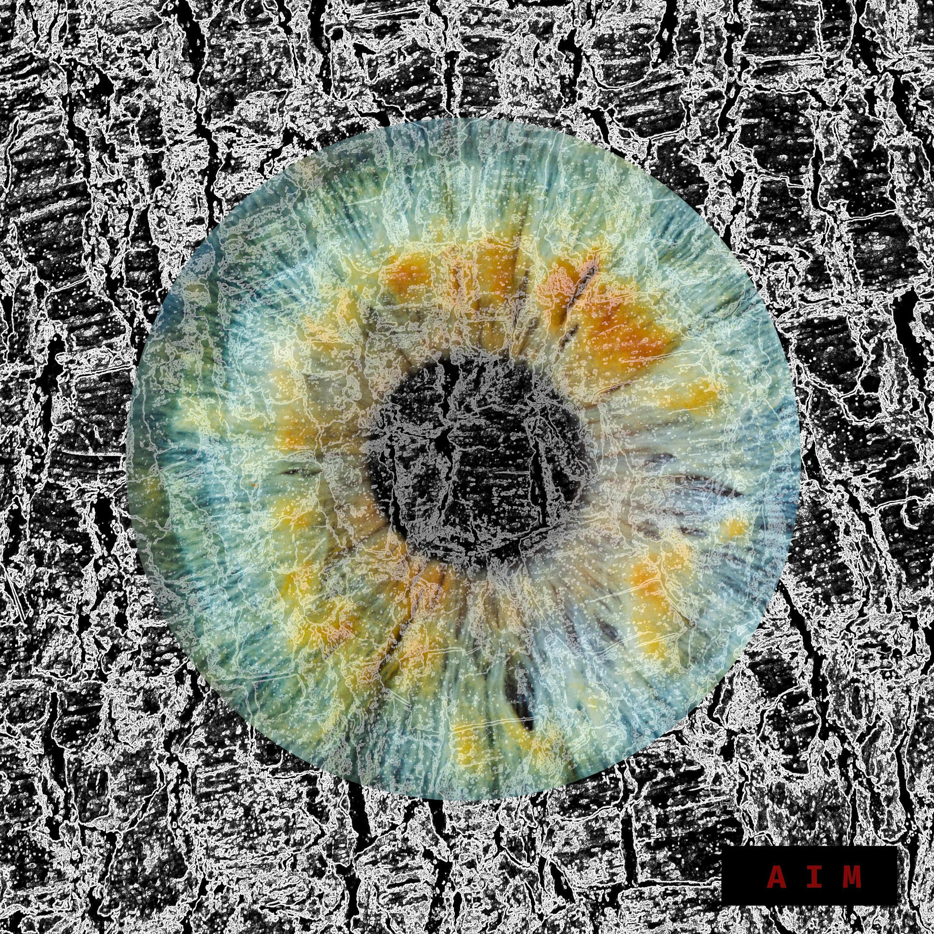 Album cover of AIM