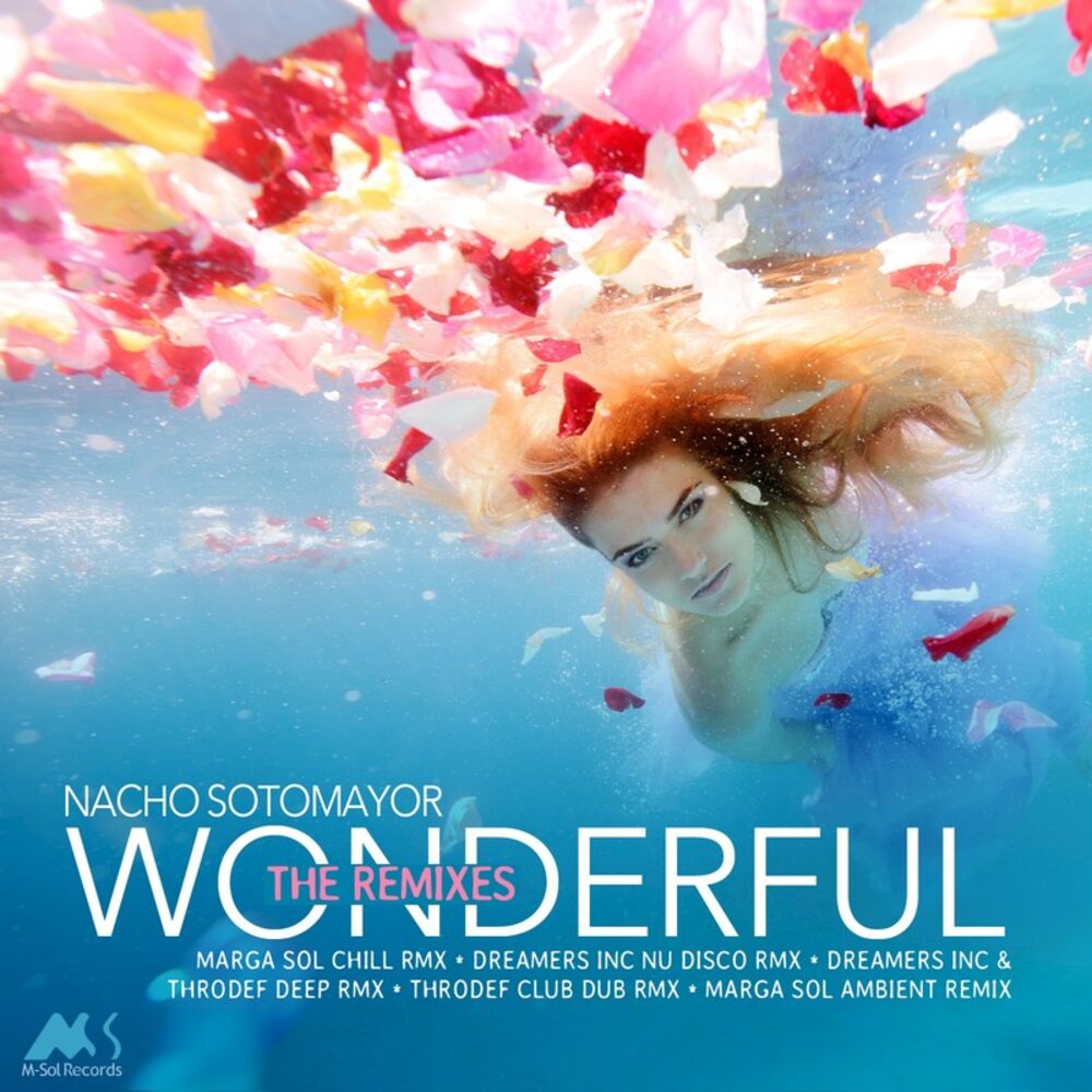Picture of Wonderful (The Remixes)