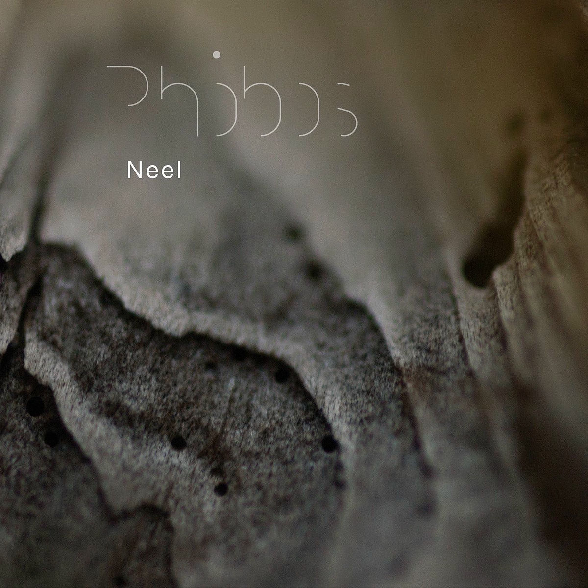 Album cover of Phobos