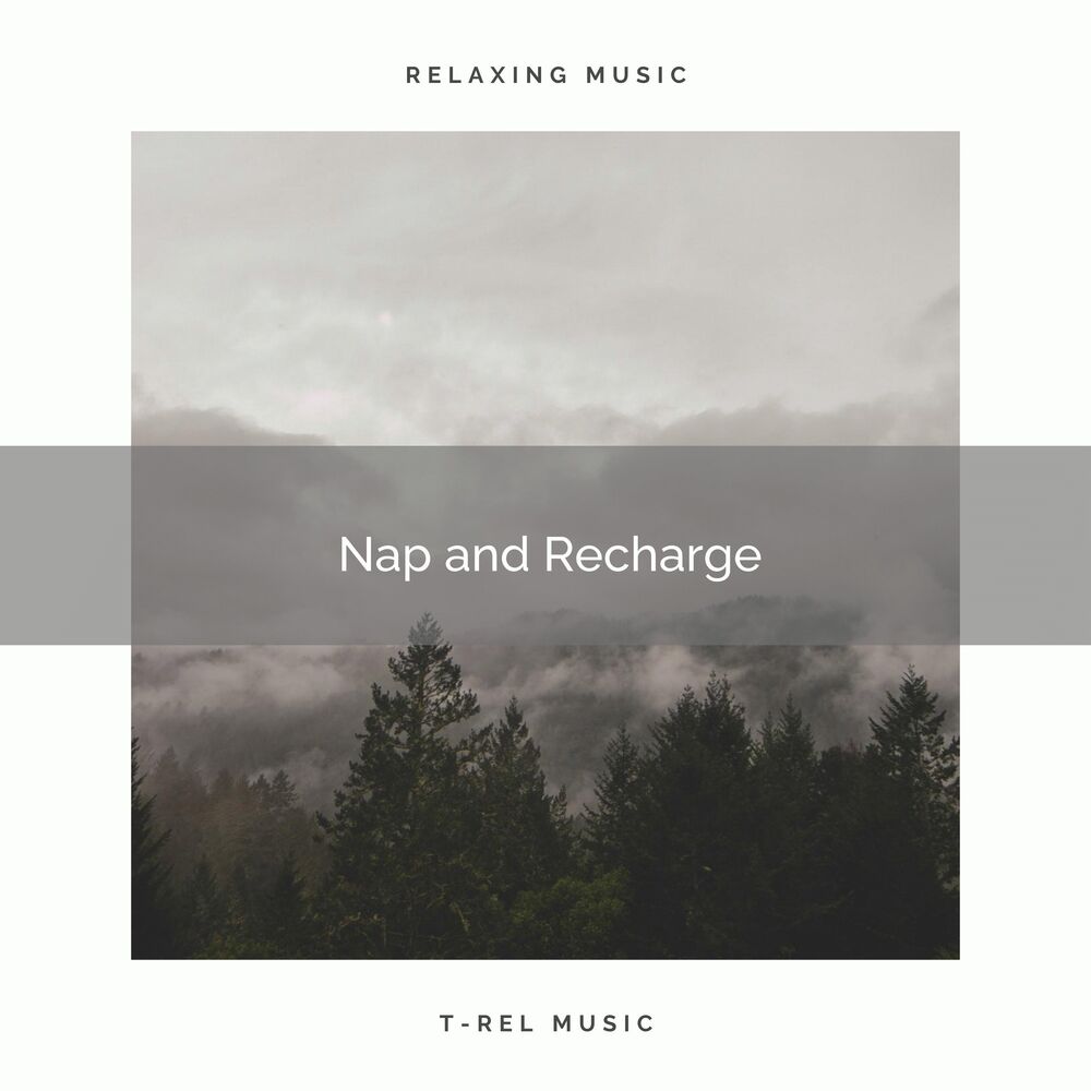 Picture of Nap and Recharge