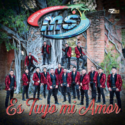 Cover of Es Tuyo Mi Amor
