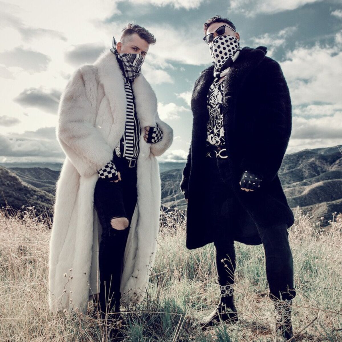 Album cover of Kingdom
