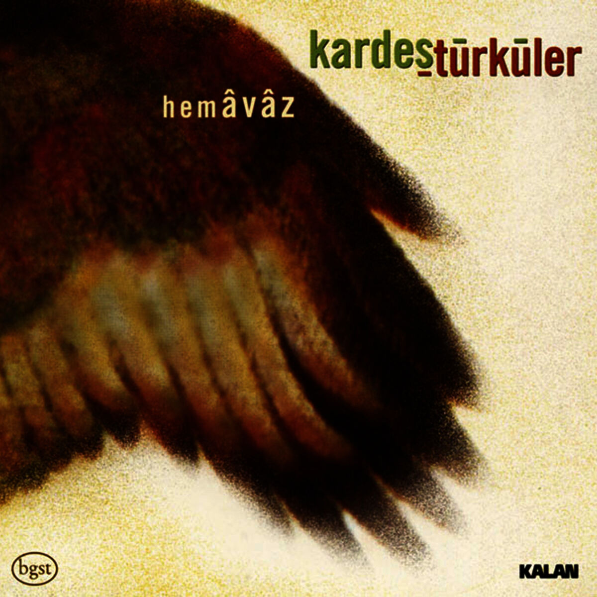 Album cover of Şah-ı Merdan