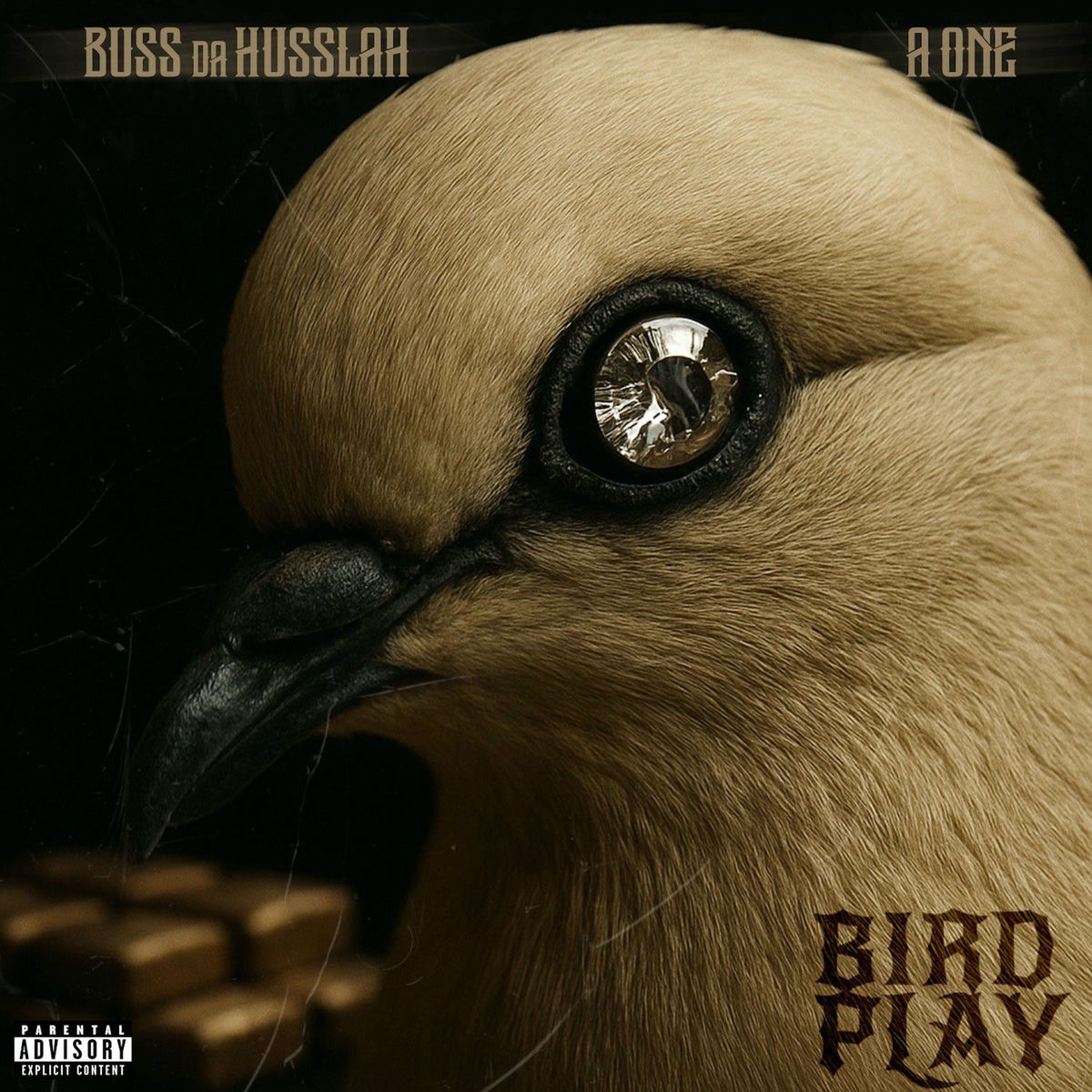 Album cover of Bird Play