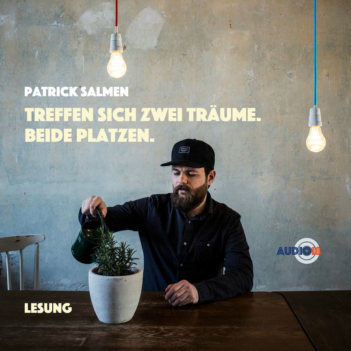 Album cover of Kapitel 1 - Treffen sich zwei Träume. Beide platzen. - Lesung