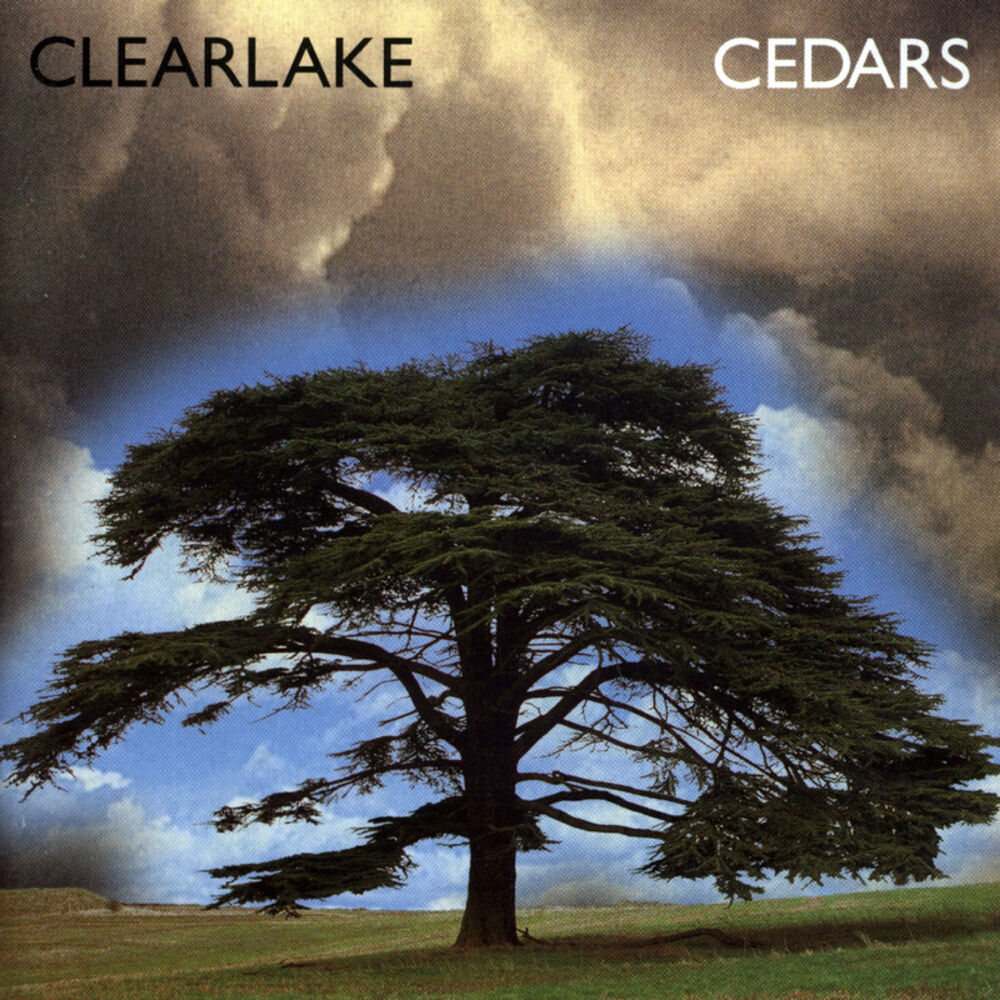 Picture of Cedars