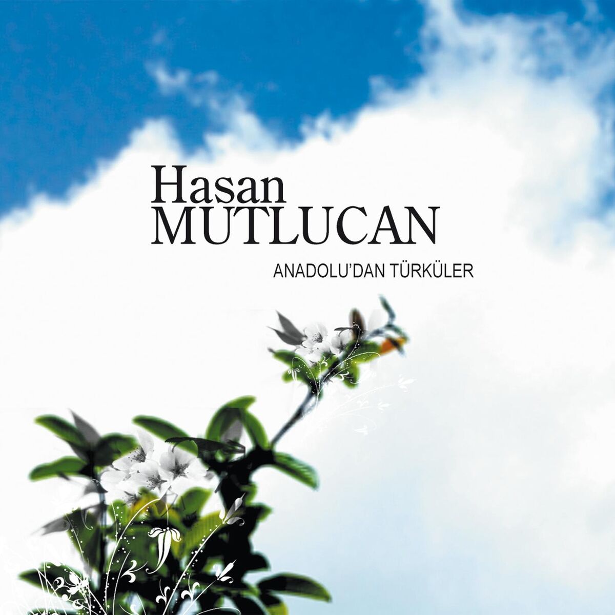 Album cover of Anadolu'dan Turkuler