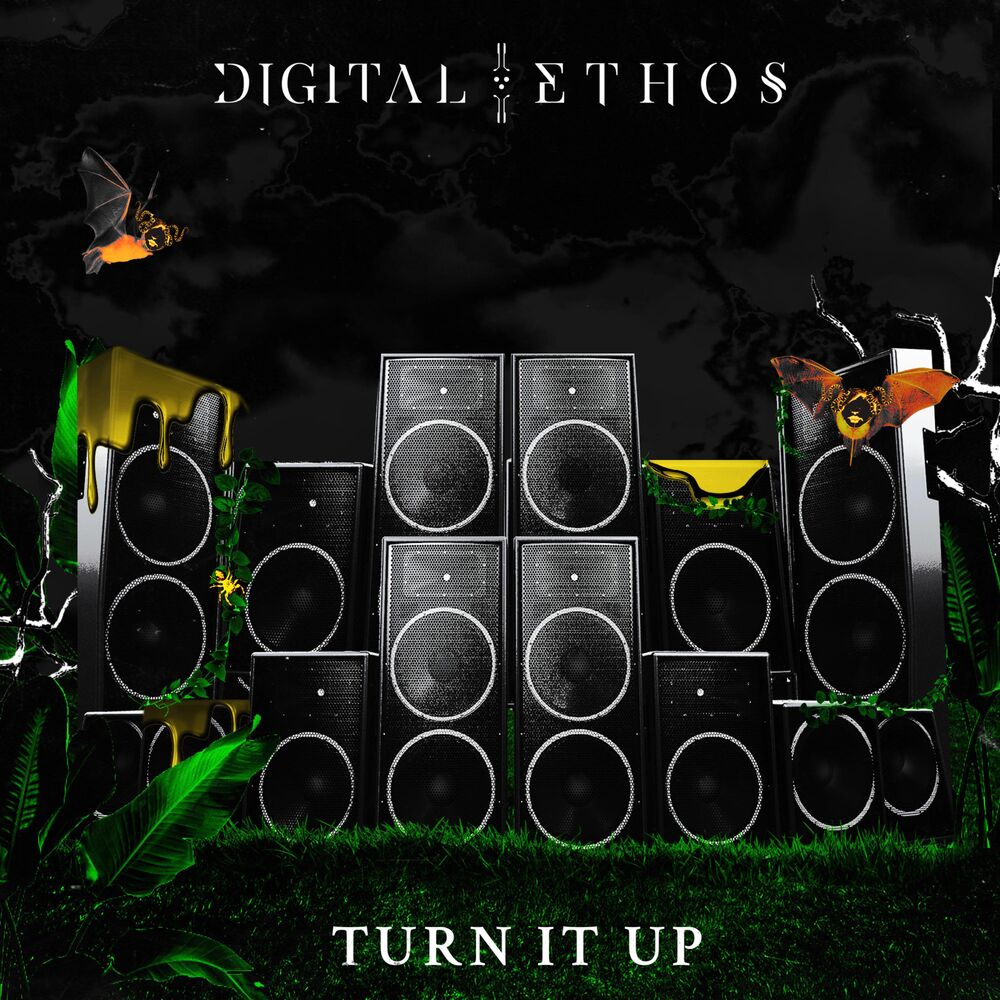 Picture of Turn It Up