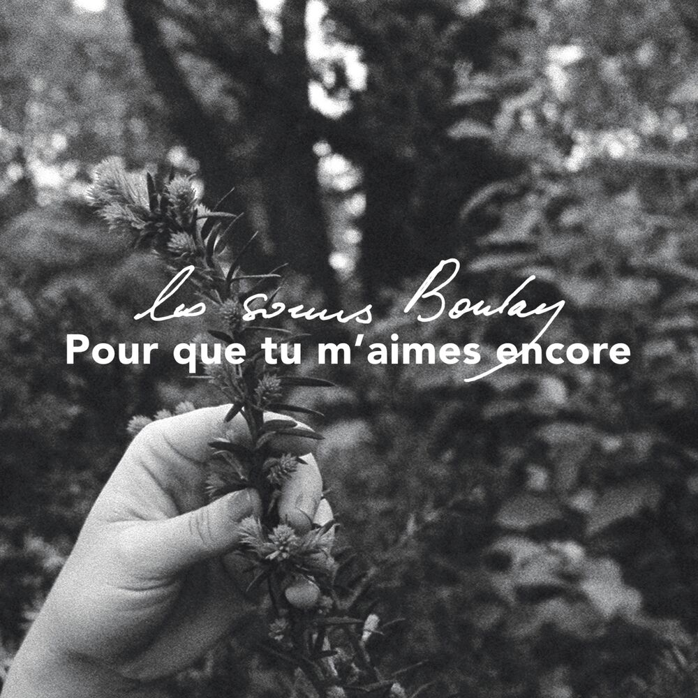 Picture of Pour que tu m'aimes encore