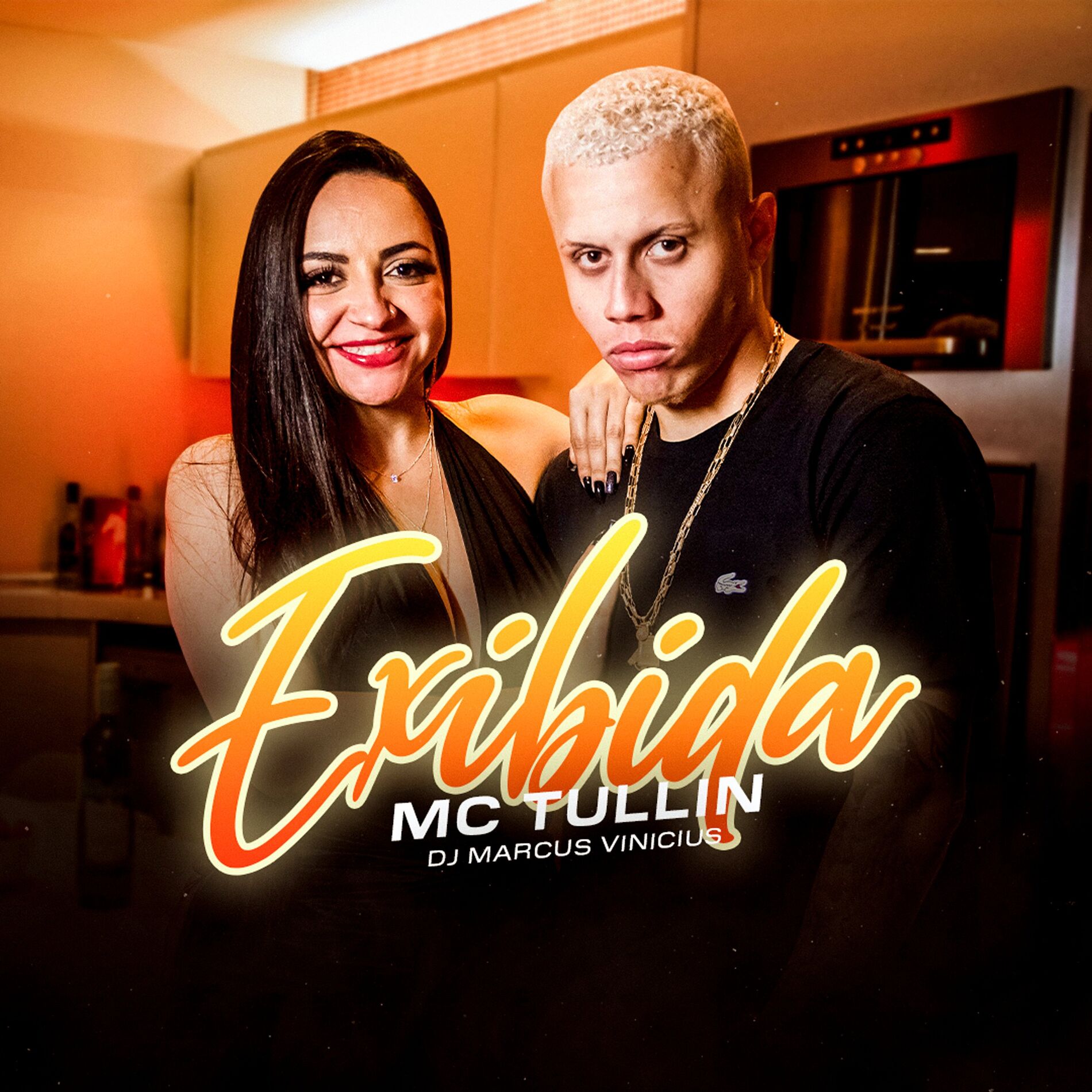 Album cover of Exibida