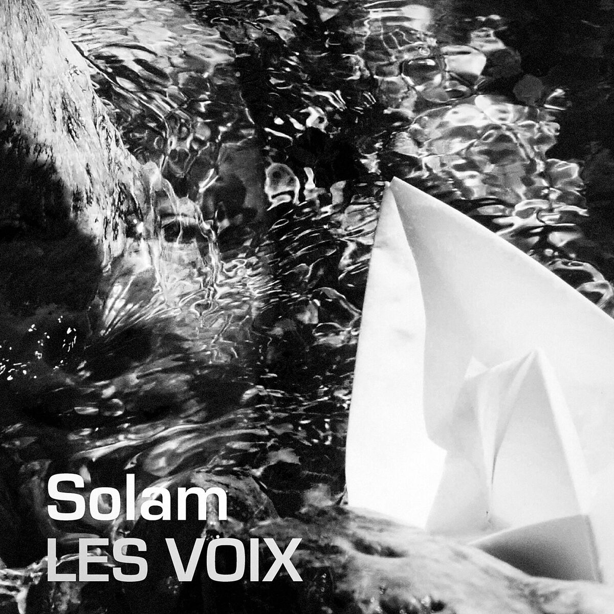 Album cover of Les voix