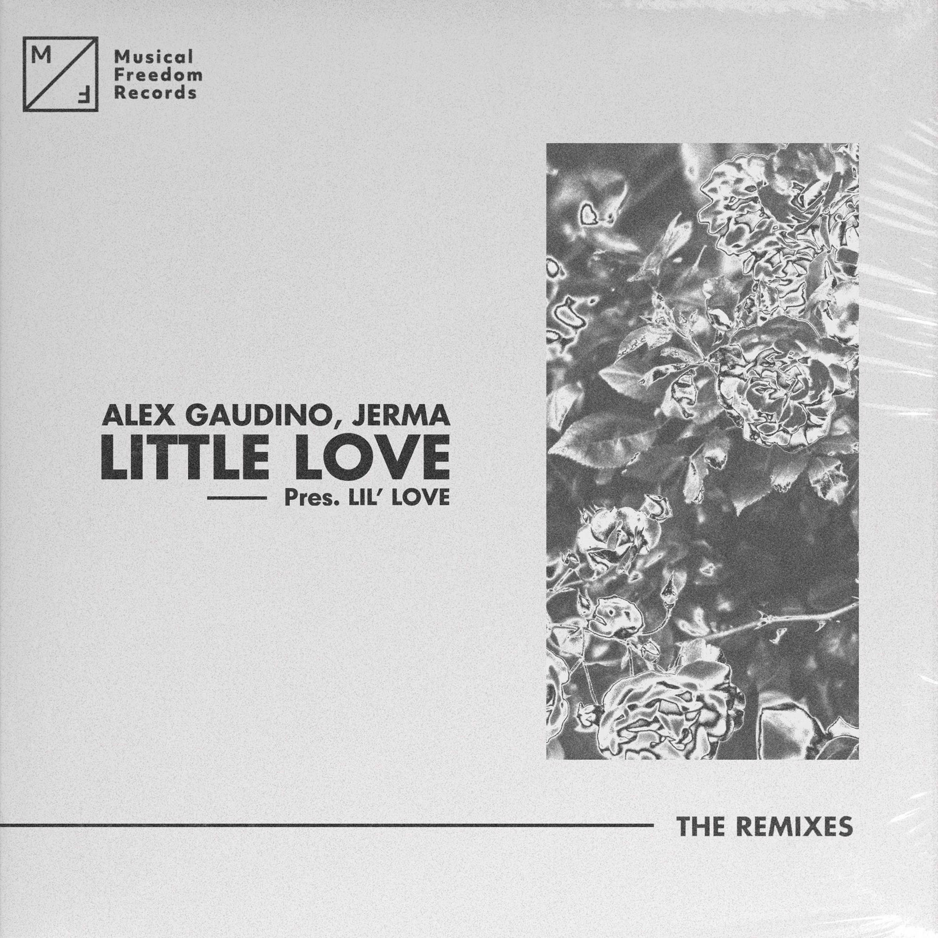 Album cover of Little Love (pres. Lil' Love) (The Remixes)