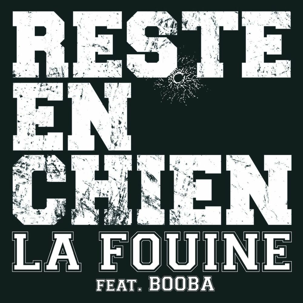 Picture of Reste En Chien (feat. Booba)