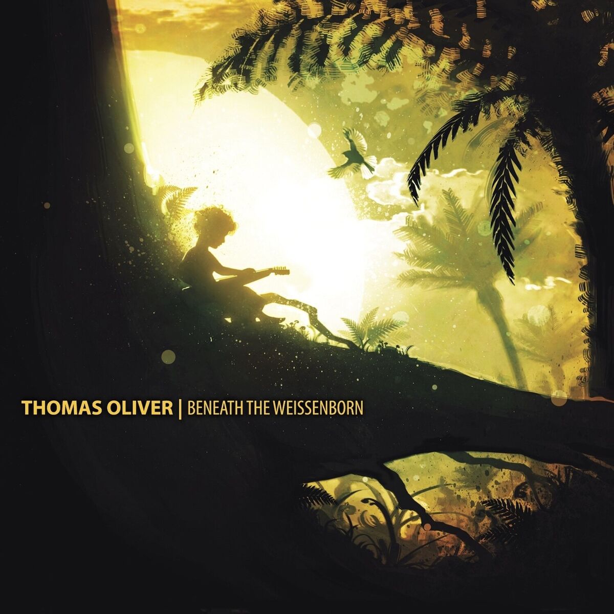 Album cover of Beneath the Weissenborn