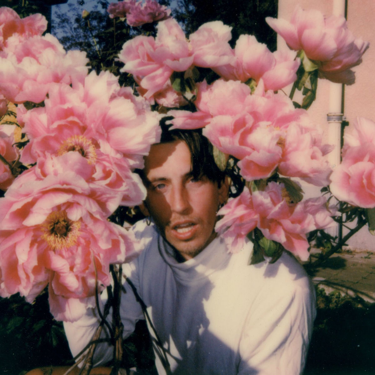 Album cover of Fleurs Confinées