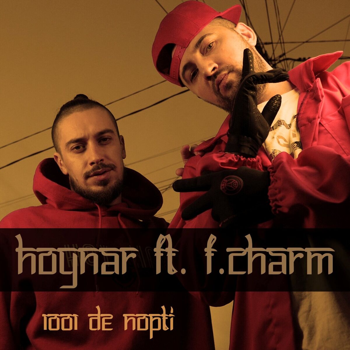 Album cover of 1001 De Nopti