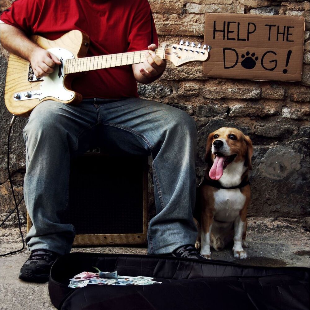 Picture of Help the Dog!