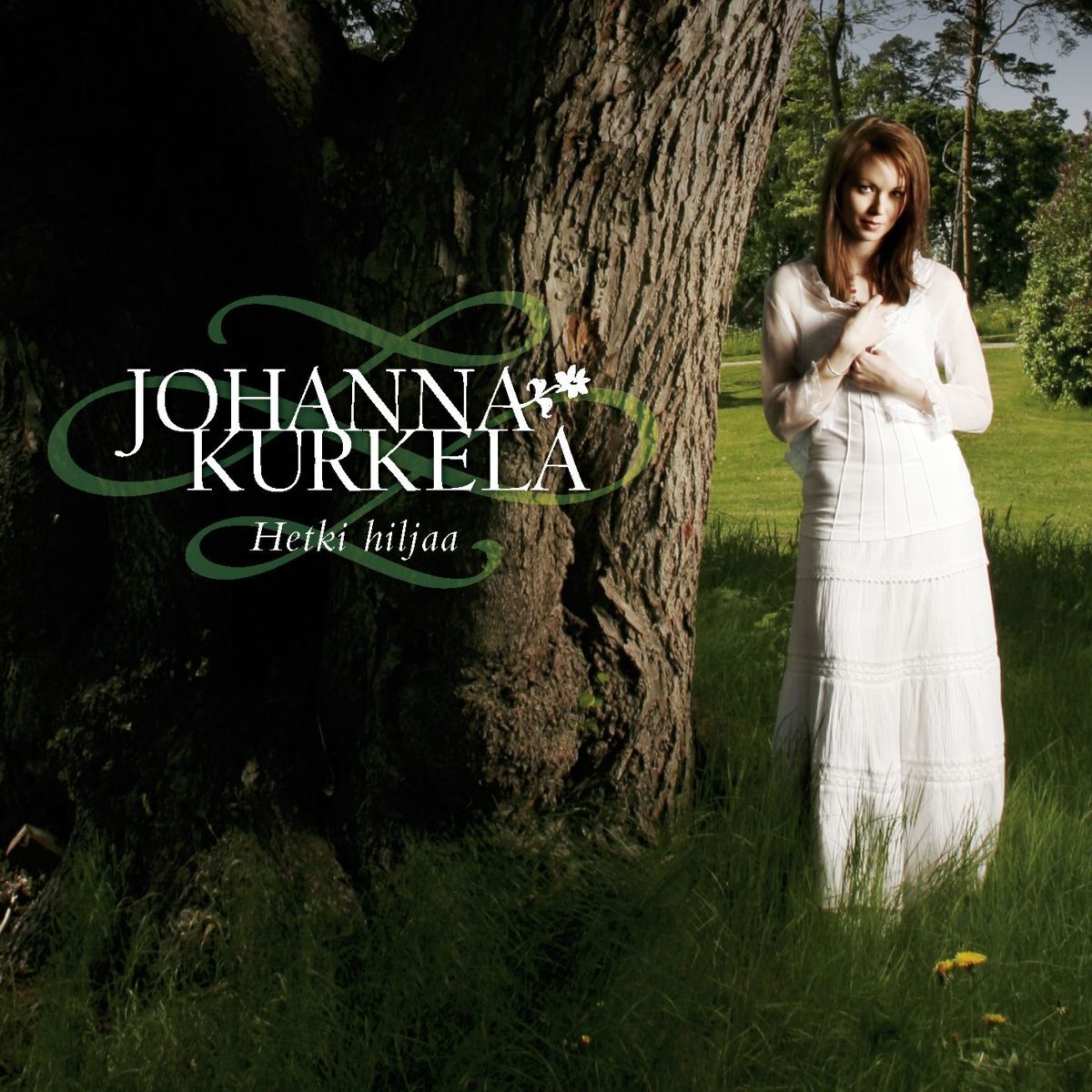Album cover of Hetki hiljaa