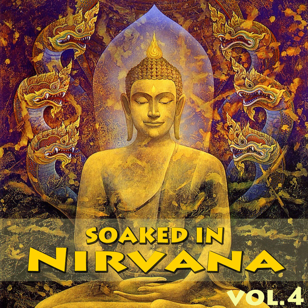 Picture of Soaked In Nirvana, Vol.4